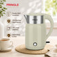 Haden Electric Kettle Double Wall 1.8L With SS 304-1500W with Keep Warm Function, Boil Dry Protection &Auto-Shut Off (Mint)